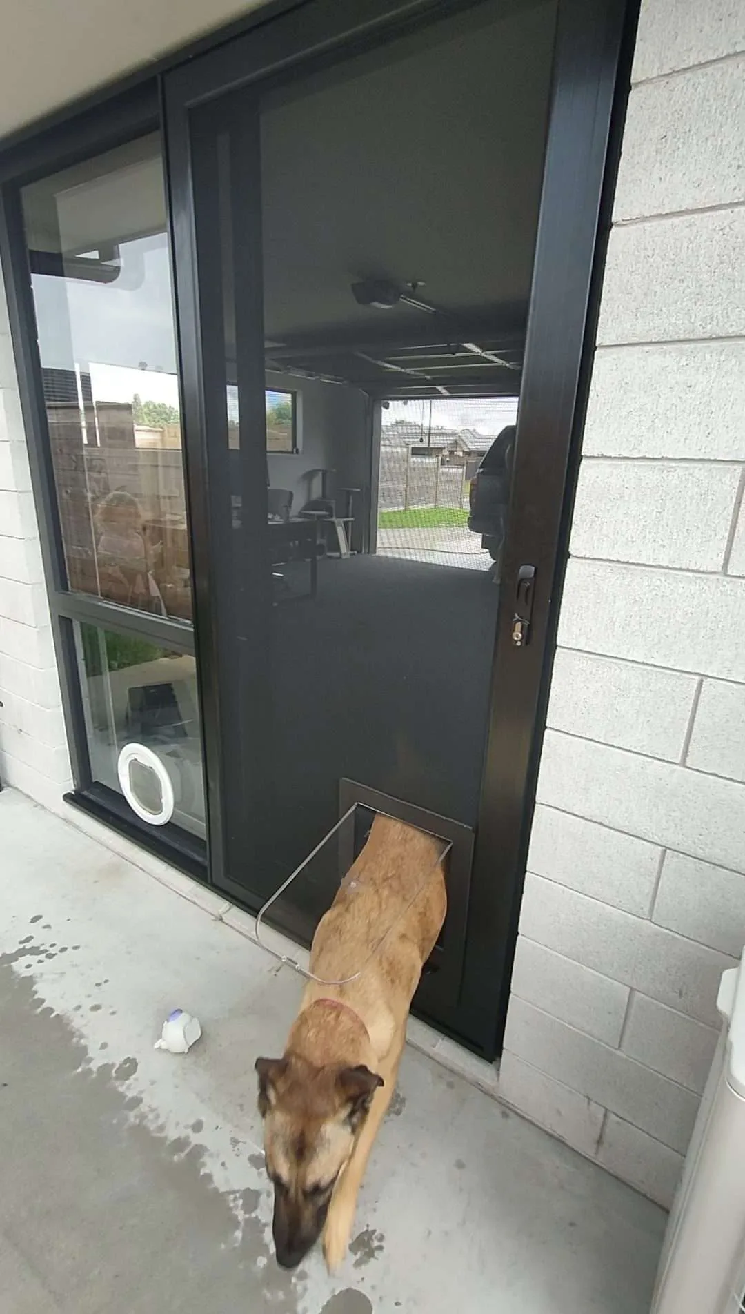 Security screen door with an integrated pet door